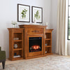 Handsome bookcase fireplace with striking woodwork details Image 1