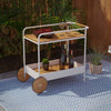 Modern indoor/outdoor beverage trolley w/ storage Image 1